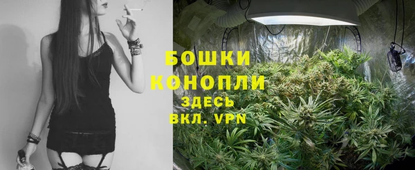 дурь Туринск