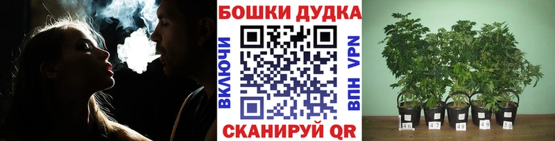 даркнет наркотические препараты  Клин  Конопля Ganja 